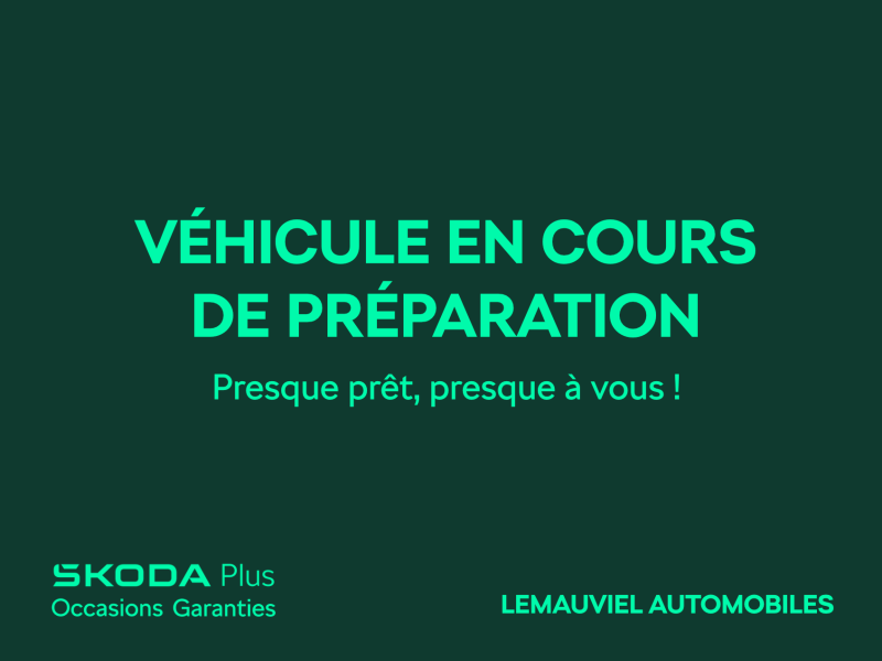 SKODA FABIA &bull; Monte-Carlo